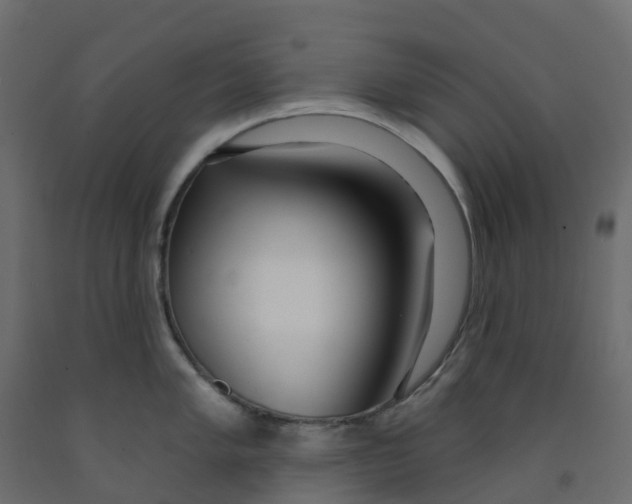 X0000091991005200710041126