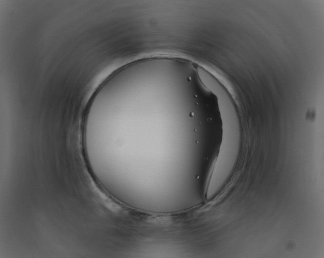 X0000091991006200710041126