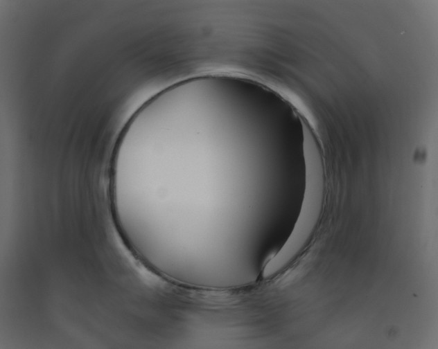 X0000091991007200710041126