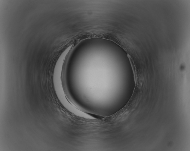 X0000091991010200710041125