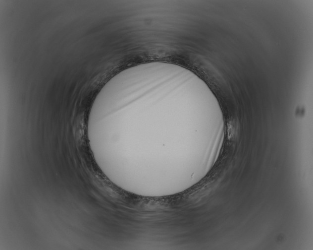 X0000091991011200710041125
