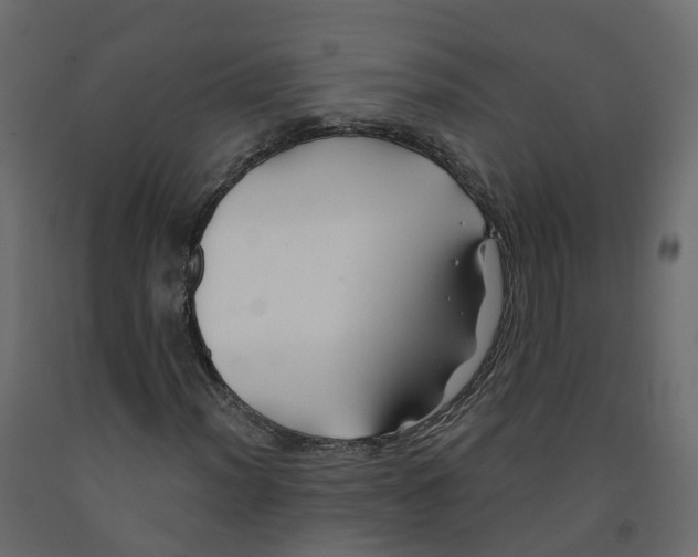 X0000091991012200710041126