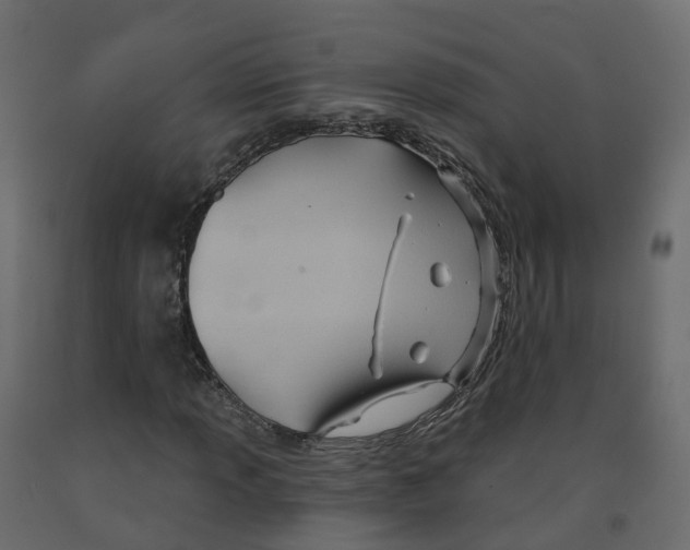 X0000091991013200710041126