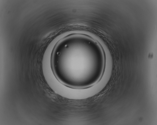 X0000091991014200710041126