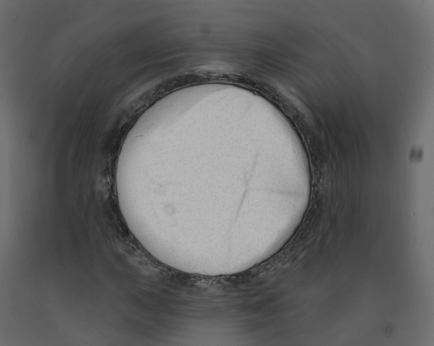 X0000091991015200710041126