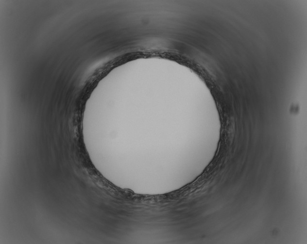 X0000091991016200710041126