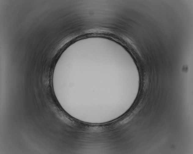 X0000091991017200710041126