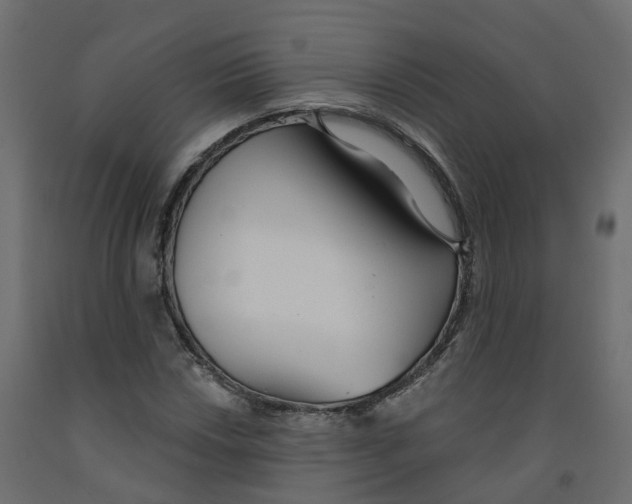 X0000091991018200710041126