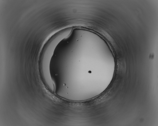X0000091991020200710041126