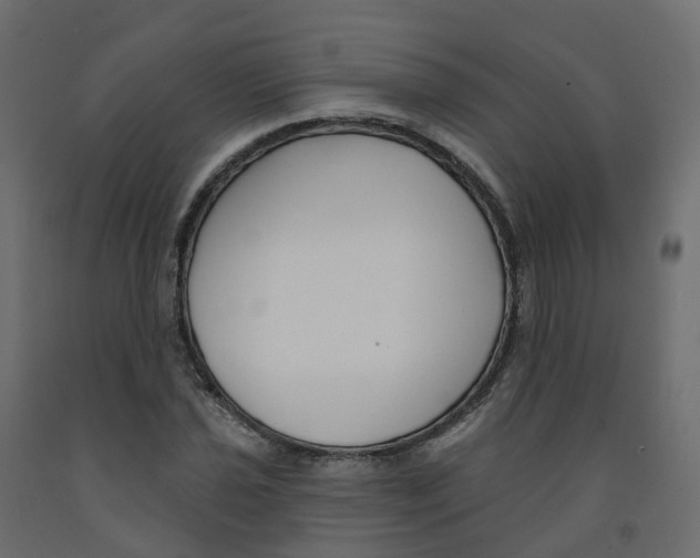 X0000091991021200710041126