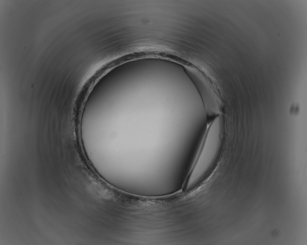 X0000091991022200710041126