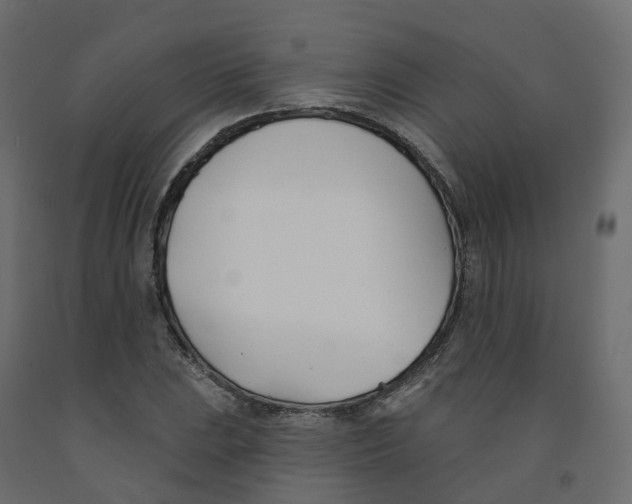 X0000091991023200710041126