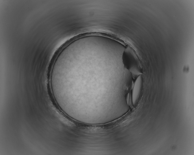 X0000091991024200710041126