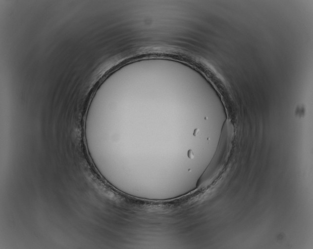 X0000091991025200710041126