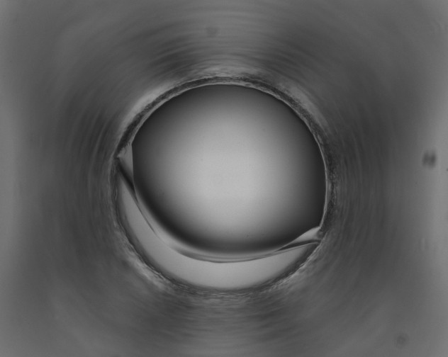 X0000091991026200710041126