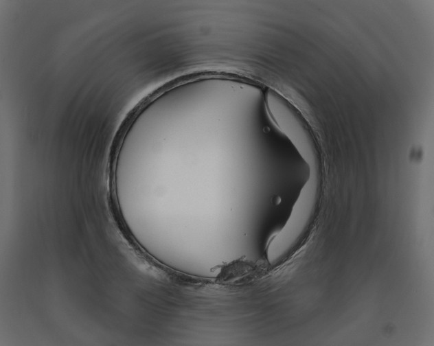X0000091991028200710041126