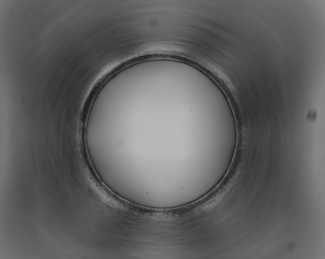 X0000091991029200710041126