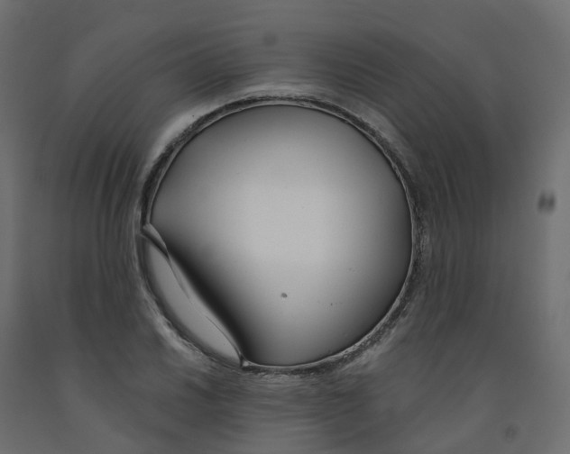 X0000091991030200710041126
