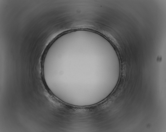 X0000091991031200710041126