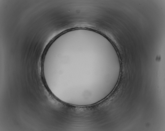 X0000091991032200710041126