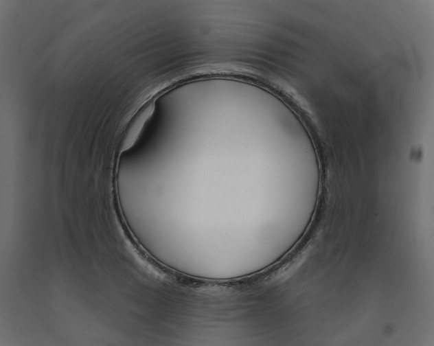 X0000091991033200710041126
