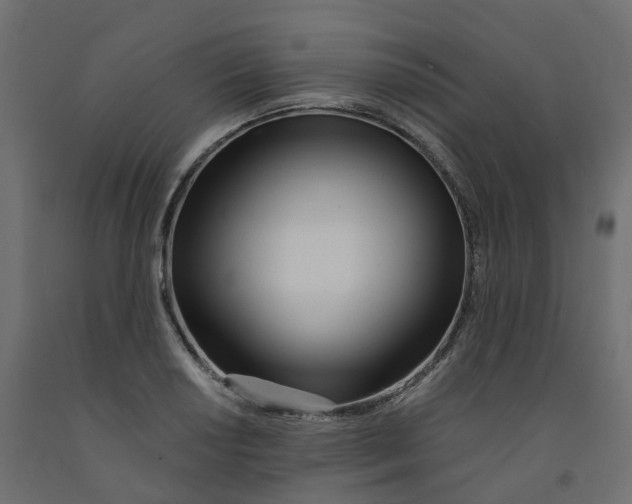 X0000091991034200710041126
