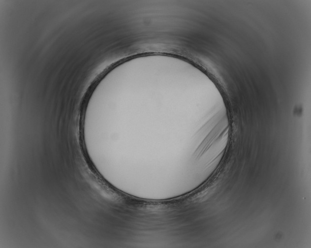 X0000091991035200710041126
