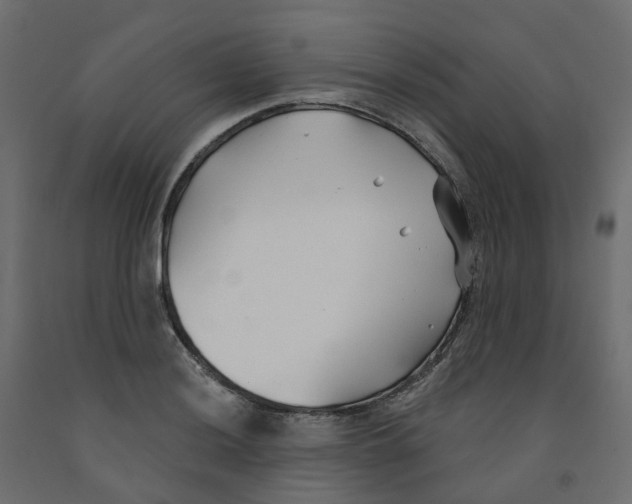 X0000091991036200710041126