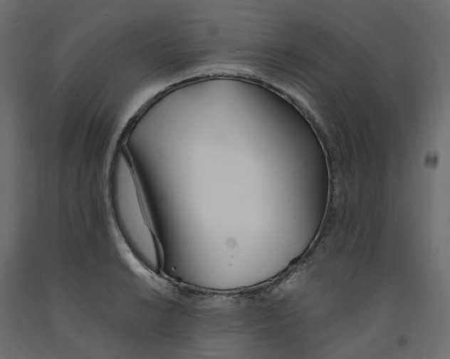 X0000091991038200710041126