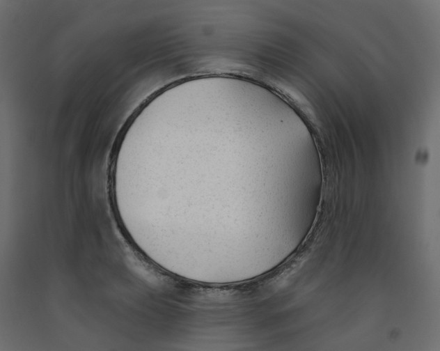 X0000091991039200710041126
