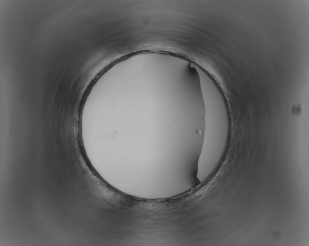 X0000091991040200710041126