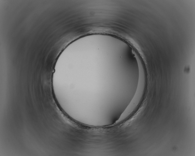 X0000091991041200710041126