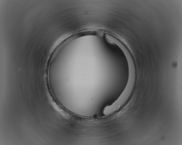 X0000091991042200710041126