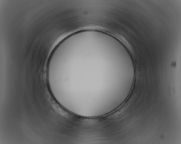 X0000091991044200710041126