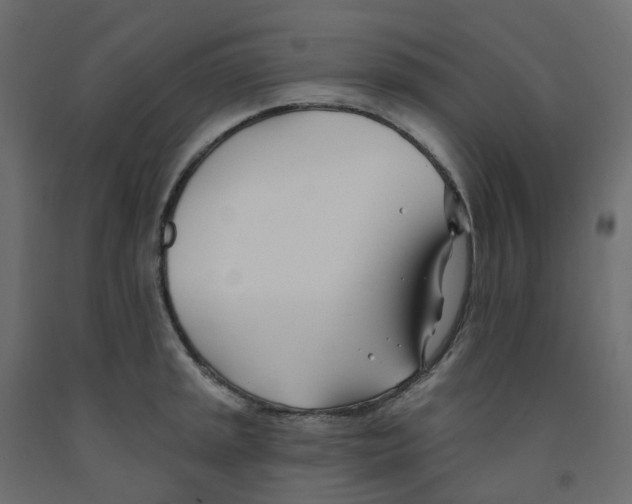 X0000091991045200710041126