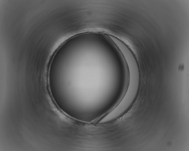 X0000091991046200710041126