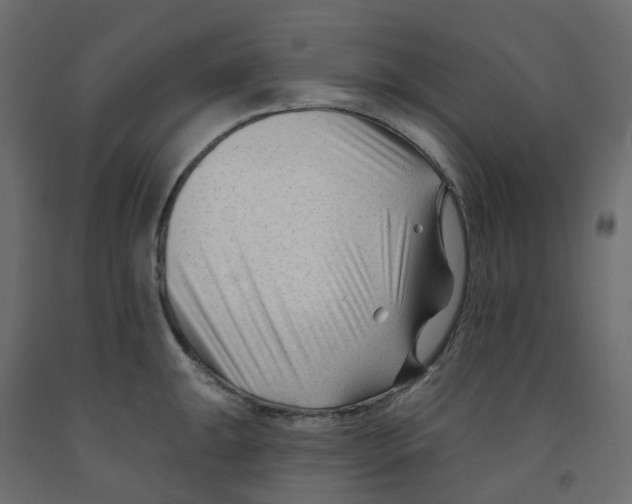 X0000091991047200710041126