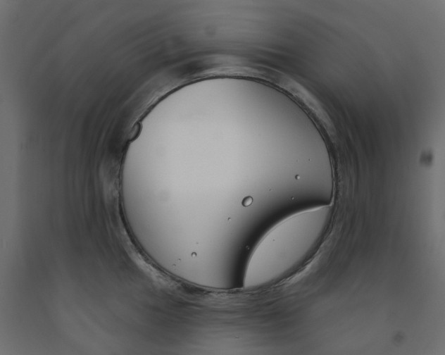 X0000091991049200710041126
