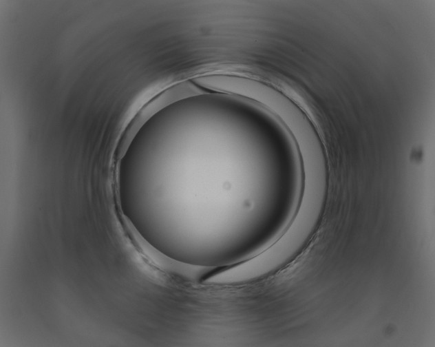 X0000091991050200710041126