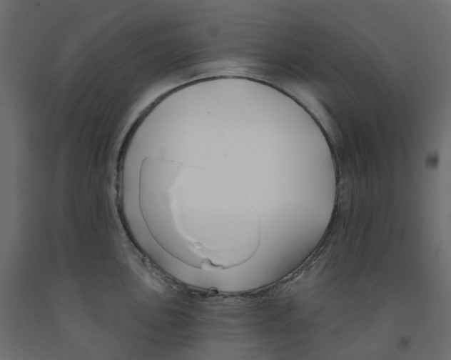 X0000091991051200710041126