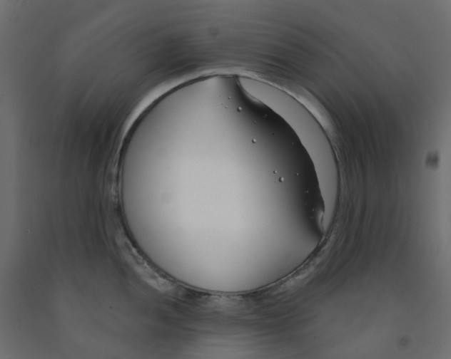 X0000091991052200710041126