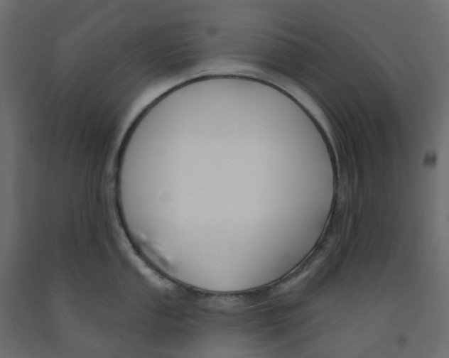 X0000091991053200710041126
