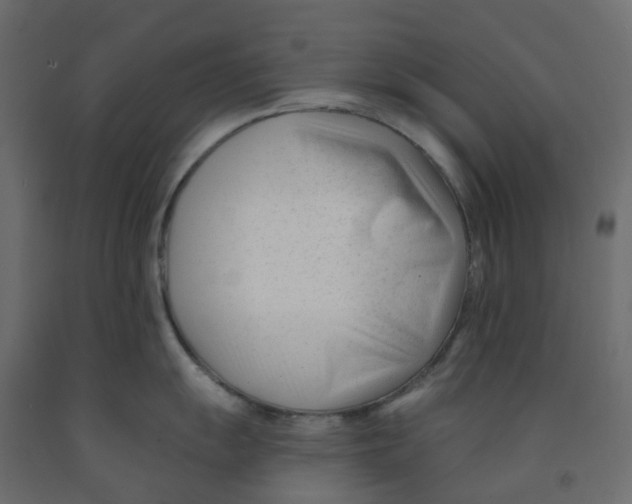 X0000091991055200710041126