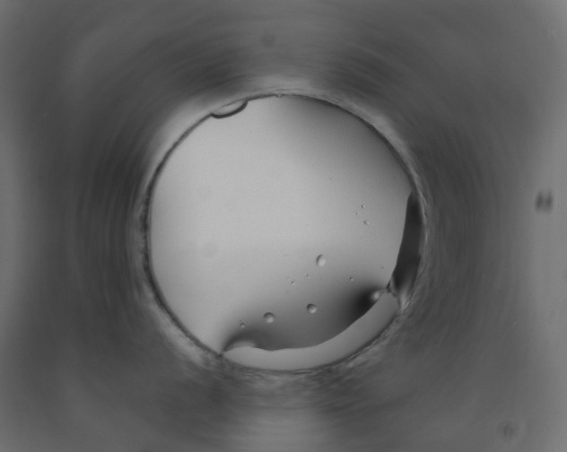 X0000091991056200710041126