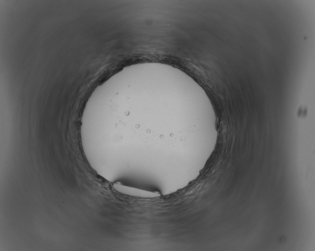 X0000091991057200710041125