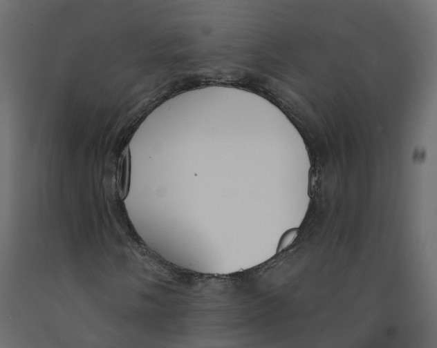 X0000091991058200710041125