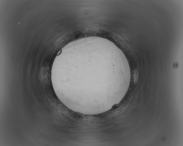 X0000091991059200710041125