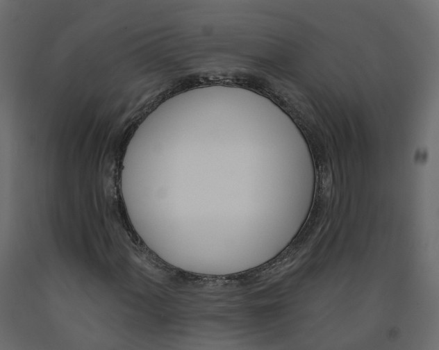 X0000091991060200710041125