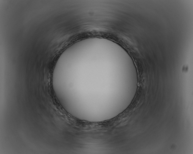 X0000091991061200710041125