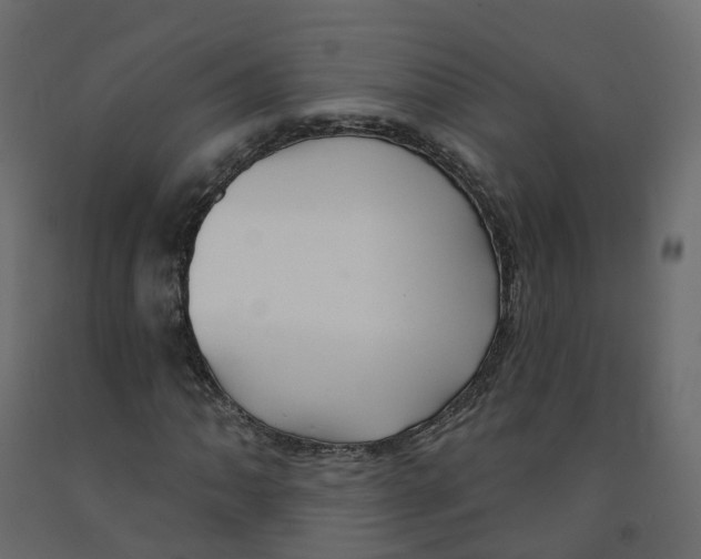 X0000091991062200710041125
